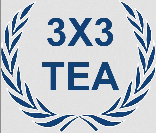 logo 3x3 TEA